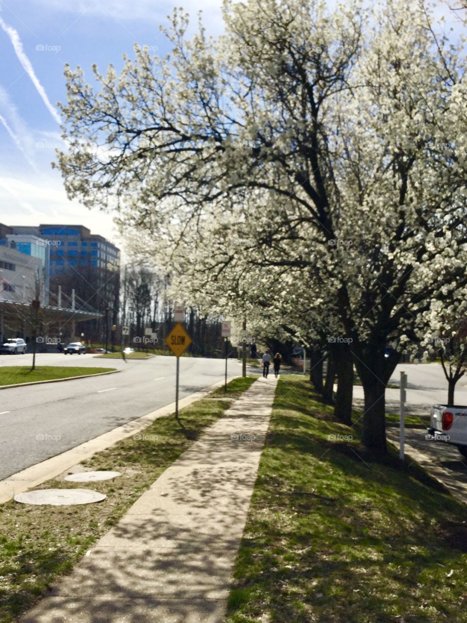 Spring sprung up in March 