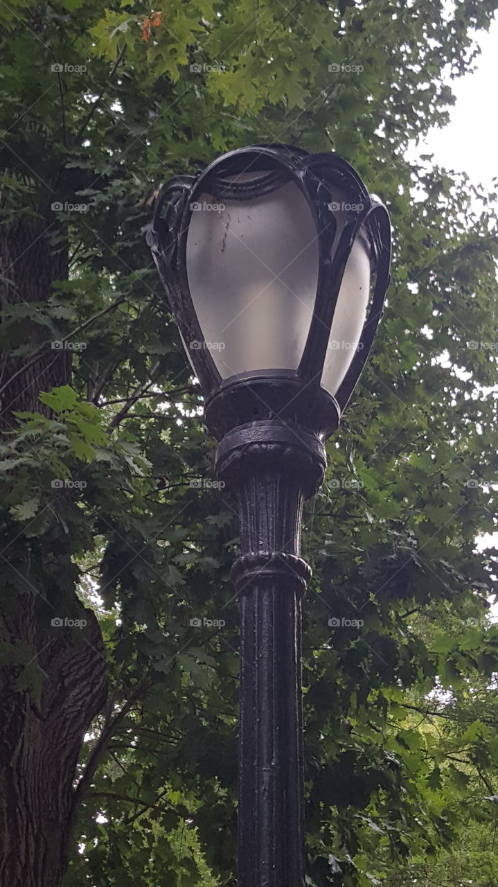 Lamp Post in NYC Central Park