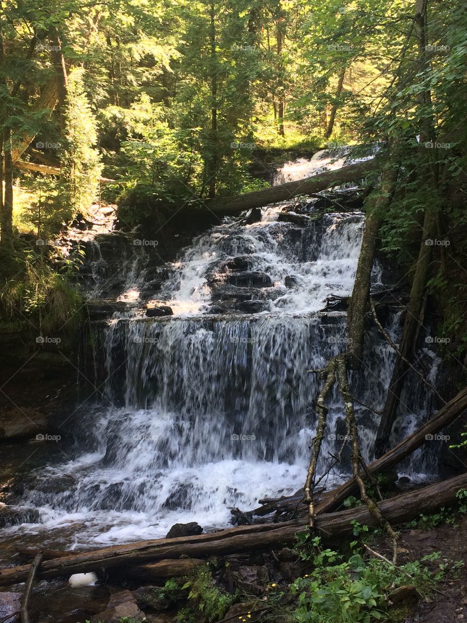 Waterfall, Water, Wood, River, Stream