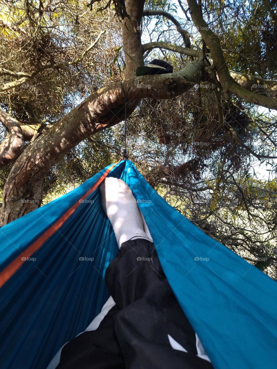 sleeping in a hammock