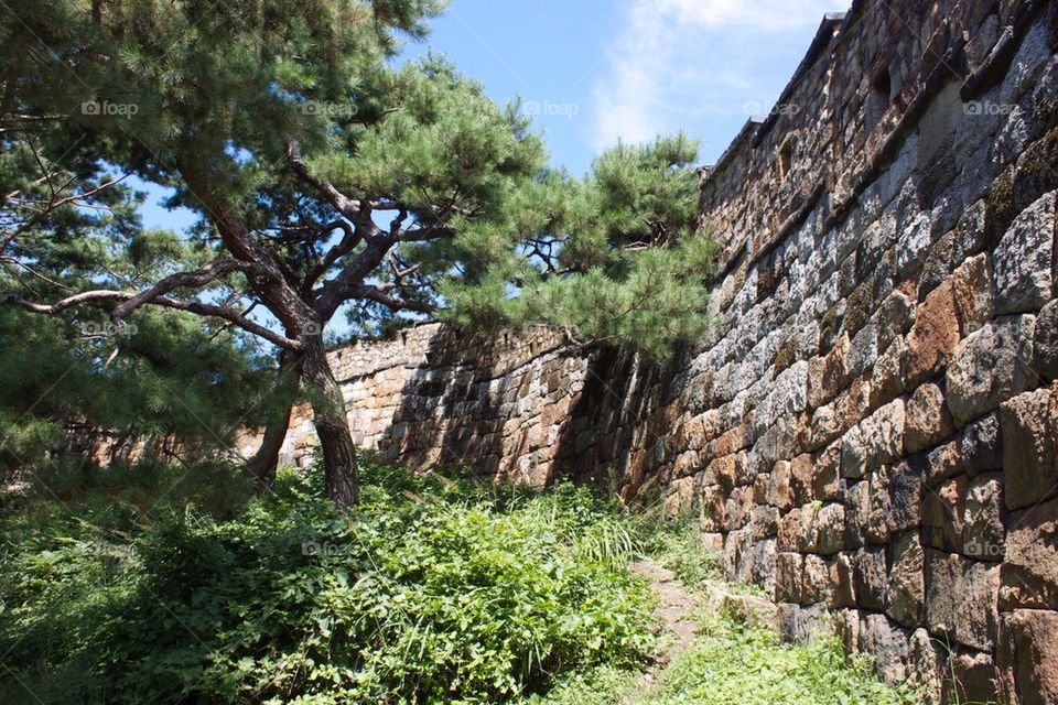Fortress wall