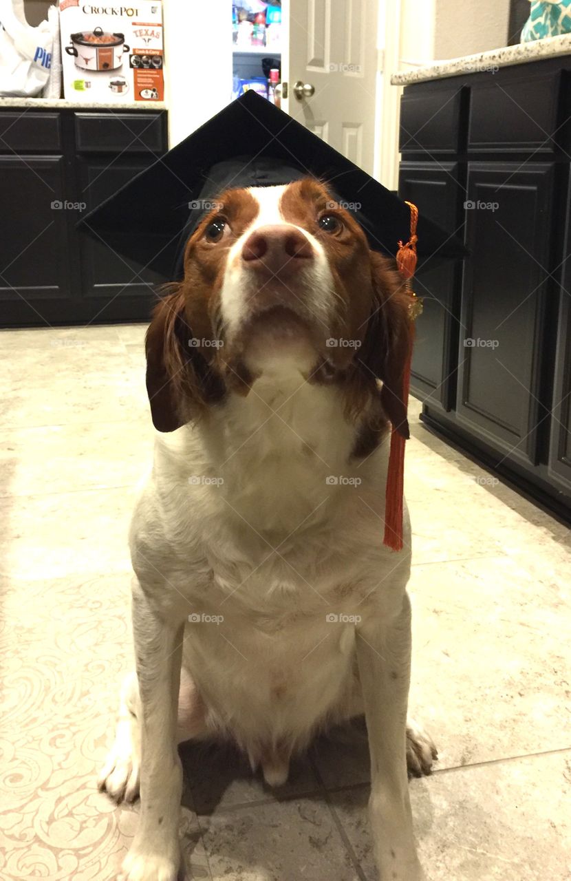 Fuzzy graduate