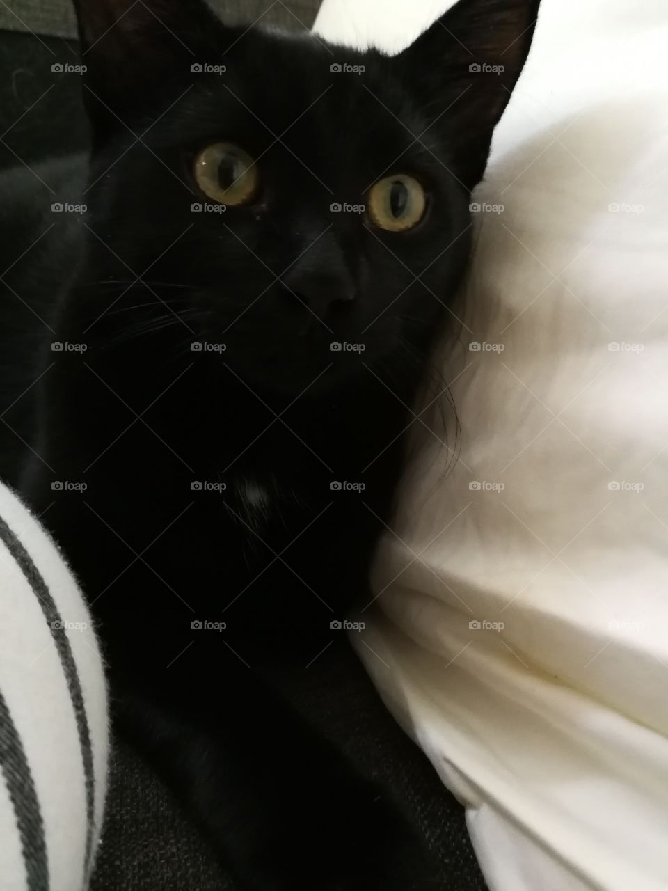 Is that me? I'm handsome