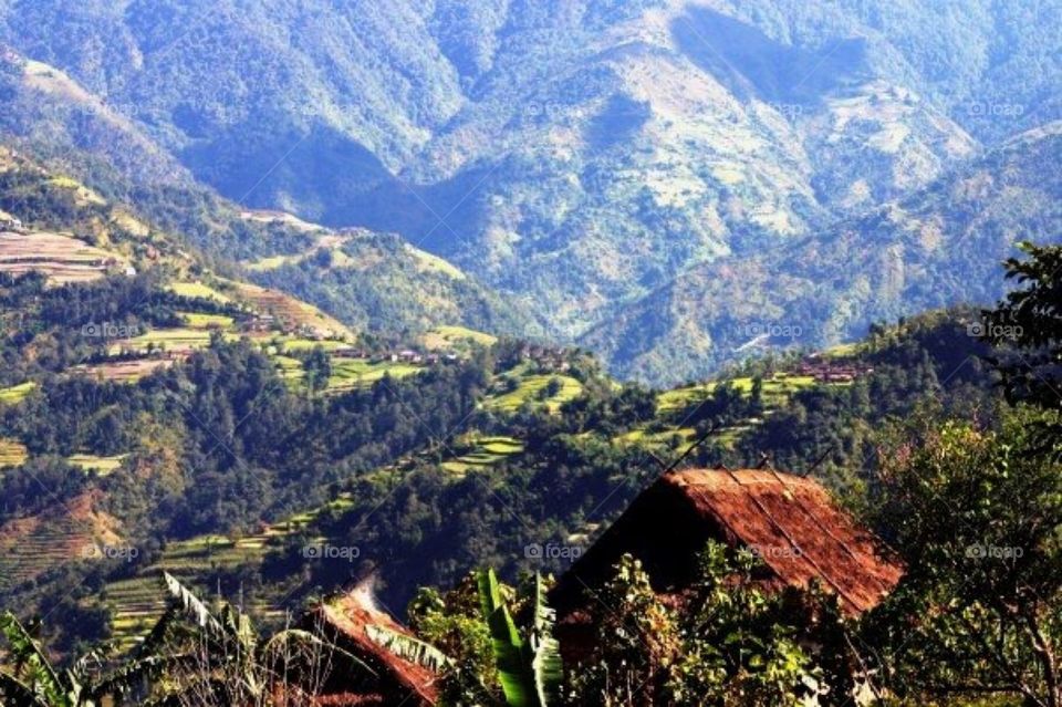 The life and Times of Nepal