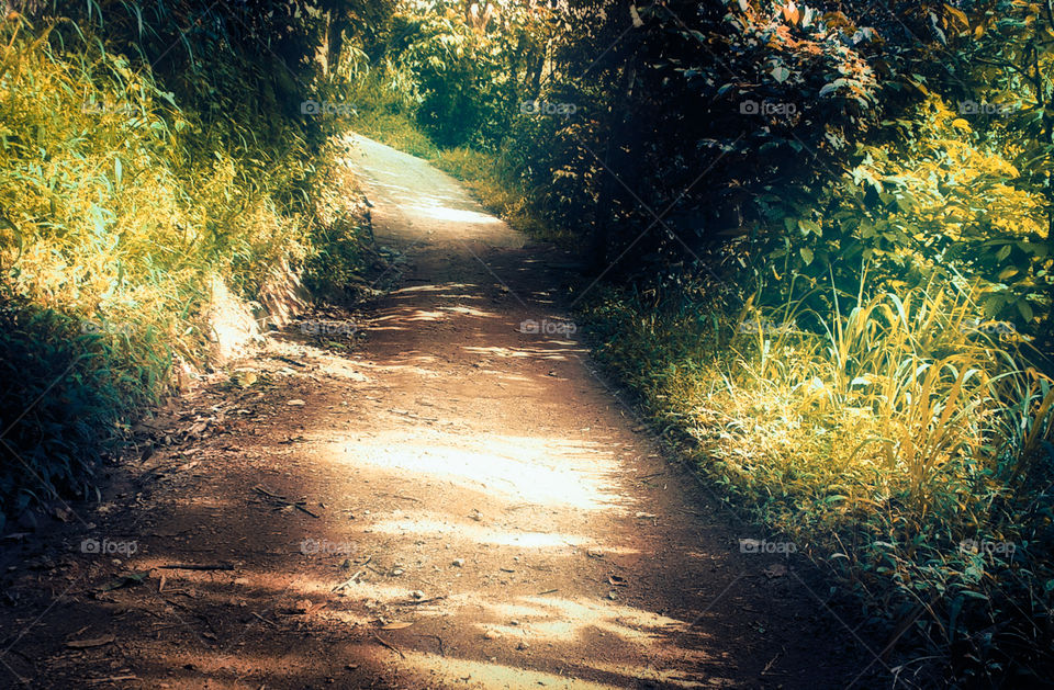 beautiful one way road in the morning view