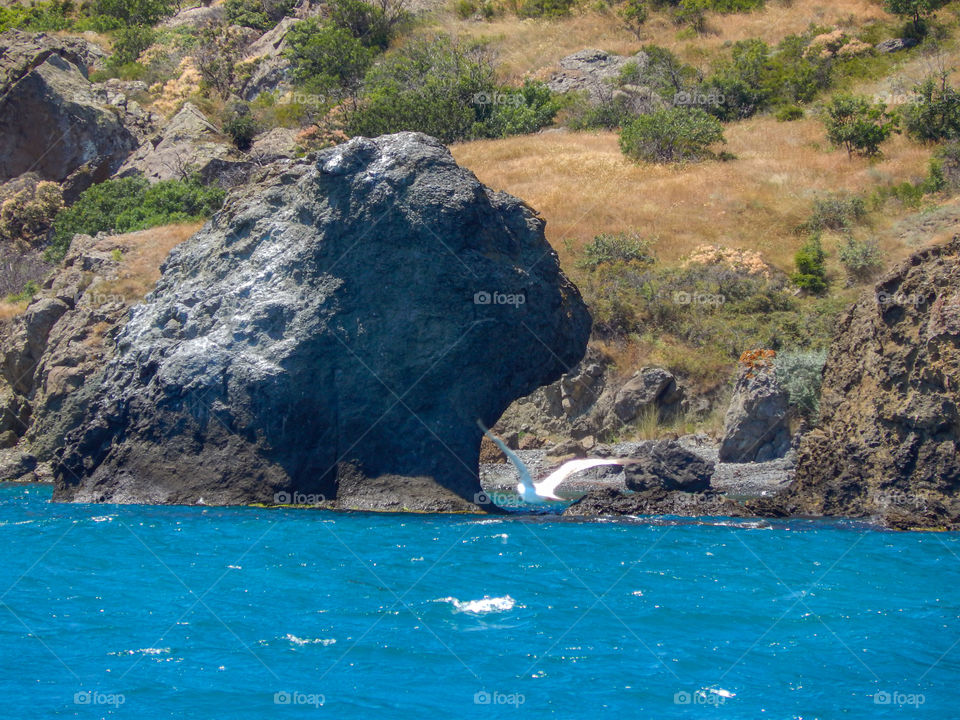 mermaid head in the black sea in the crimea