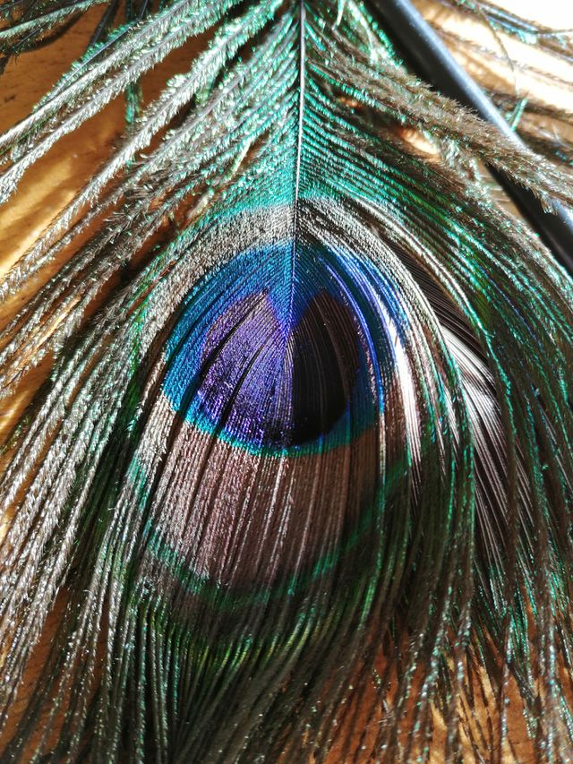 colors