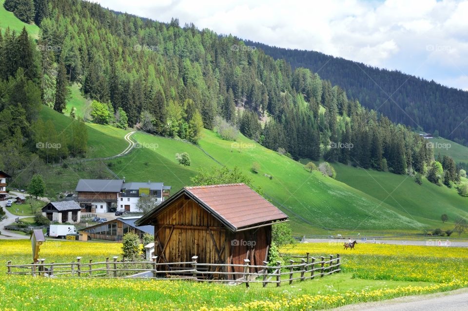 Italian countryside