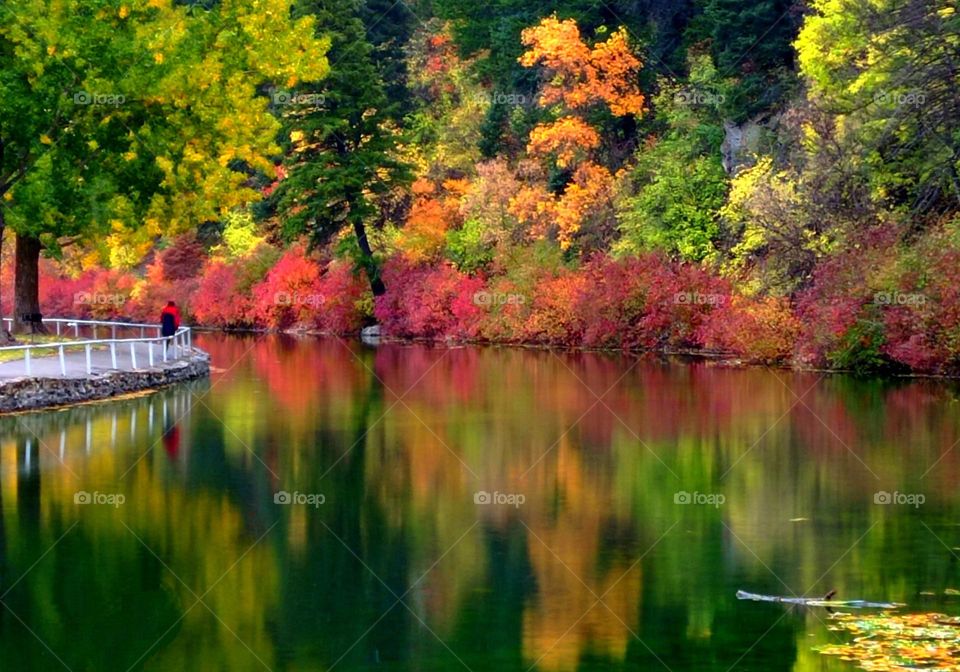 my favorite town fall foliage