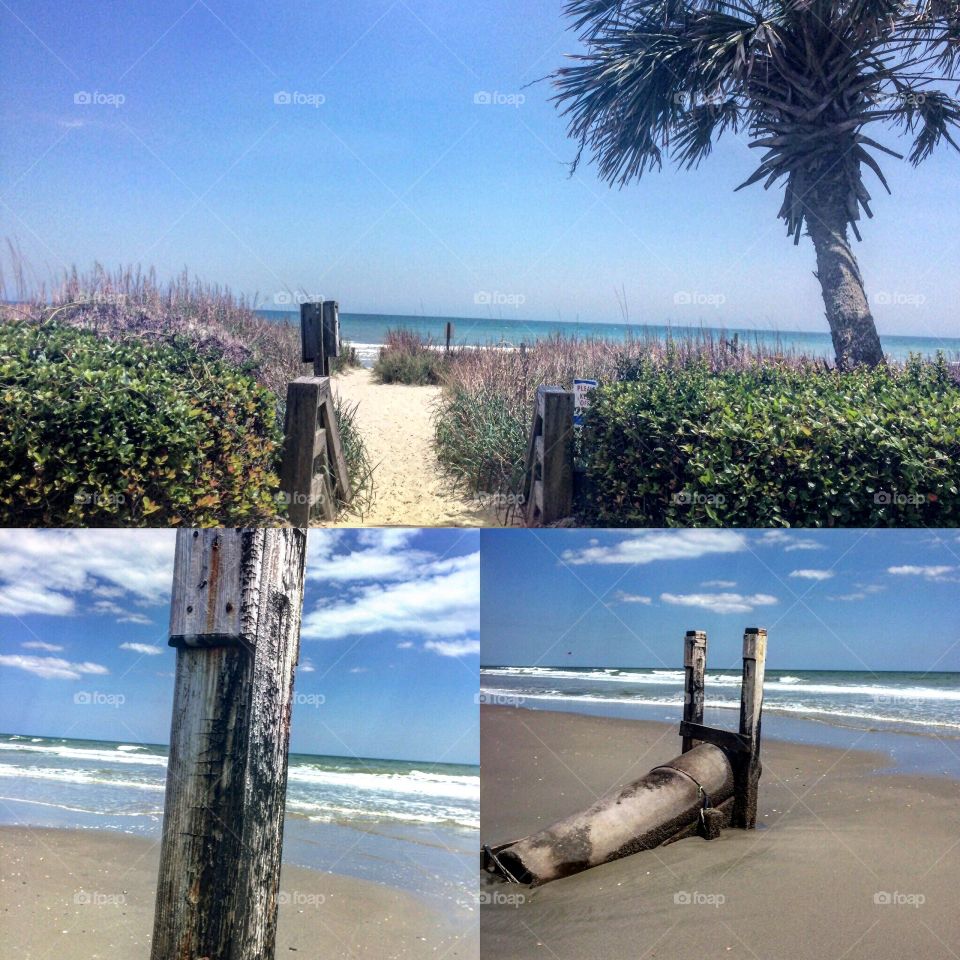 Beach, Water, Travel, Tree, Summer