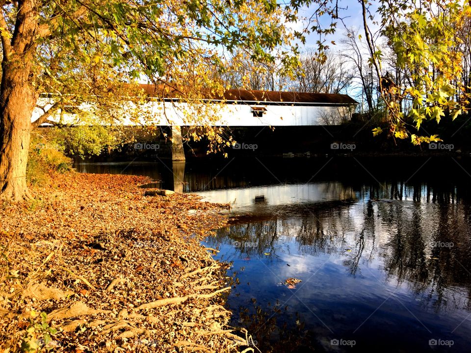 Fall at the bridge 