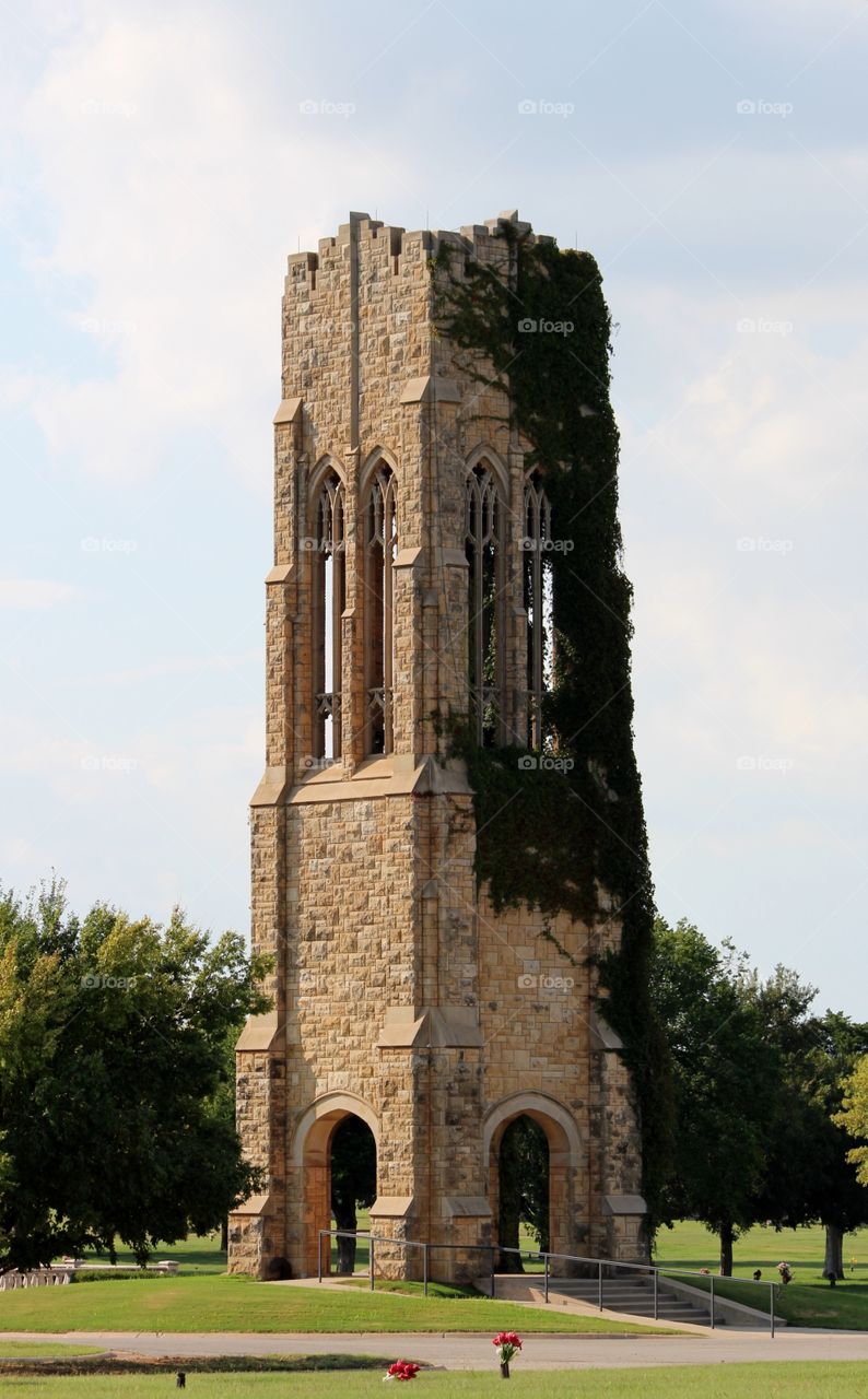 Ivy Covered Castle