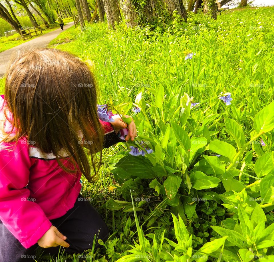 Little Girl in Spring