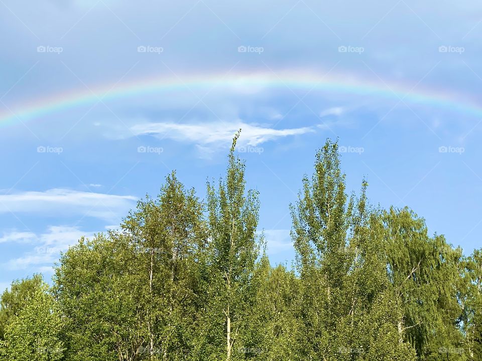 Радуга после дождя. Россия. Rainbow after the rain. Russia.