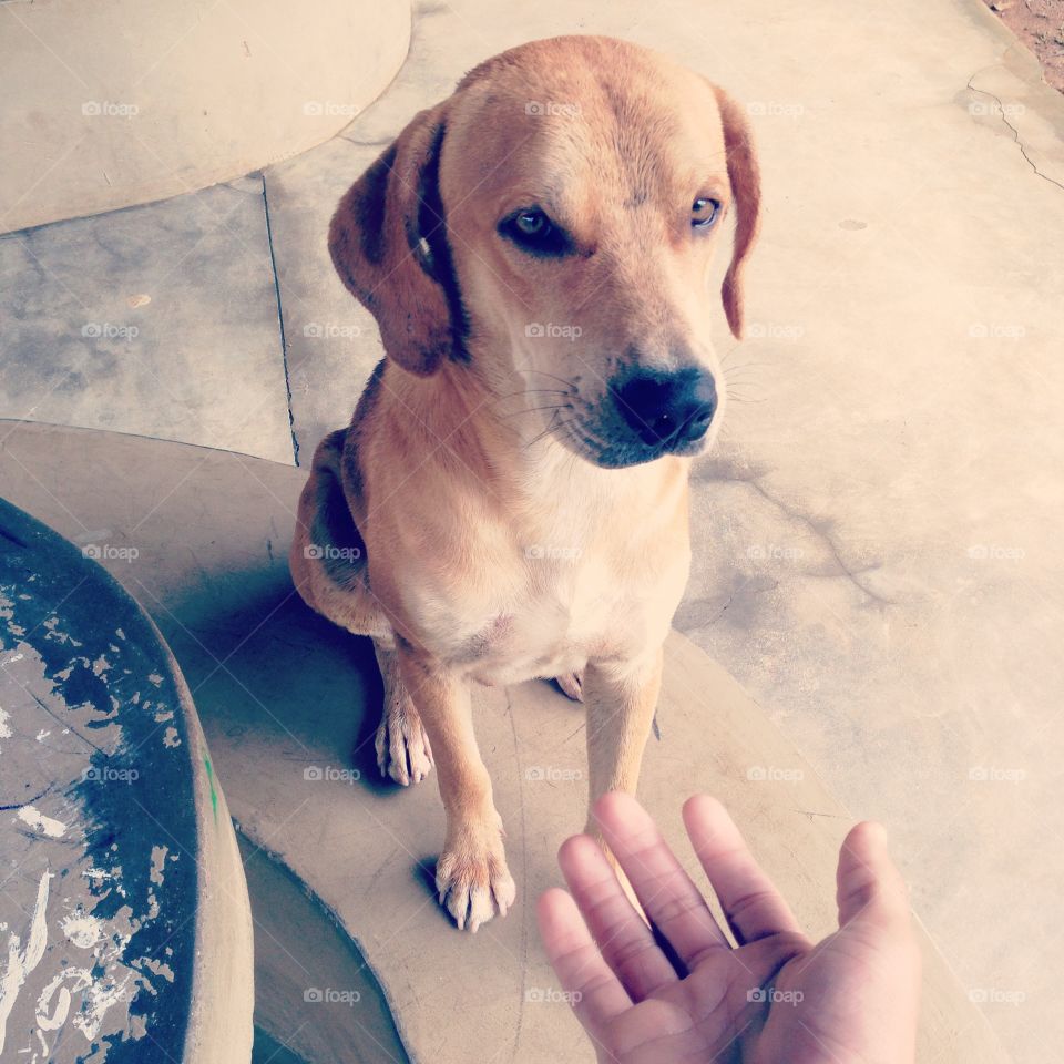 "I don't want to contact, human!" He said. 