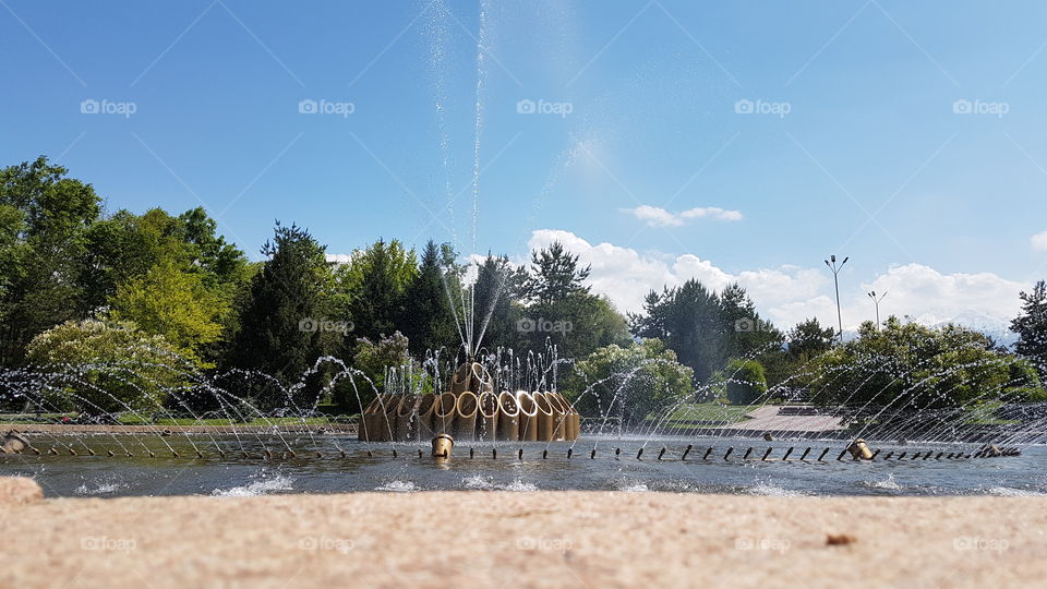 fountain in the park in spring