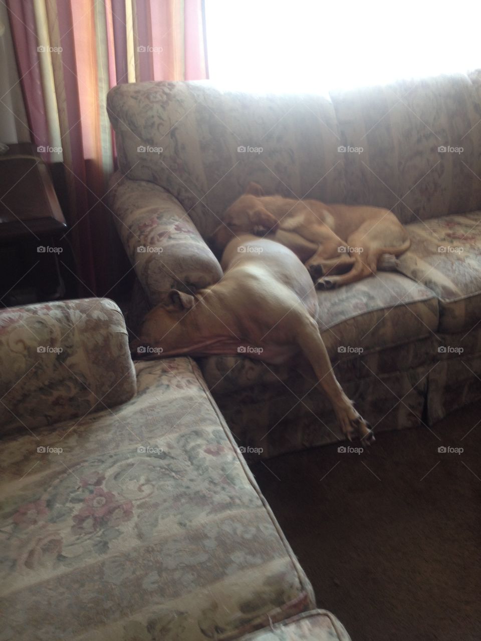 I can sleep anywhere 