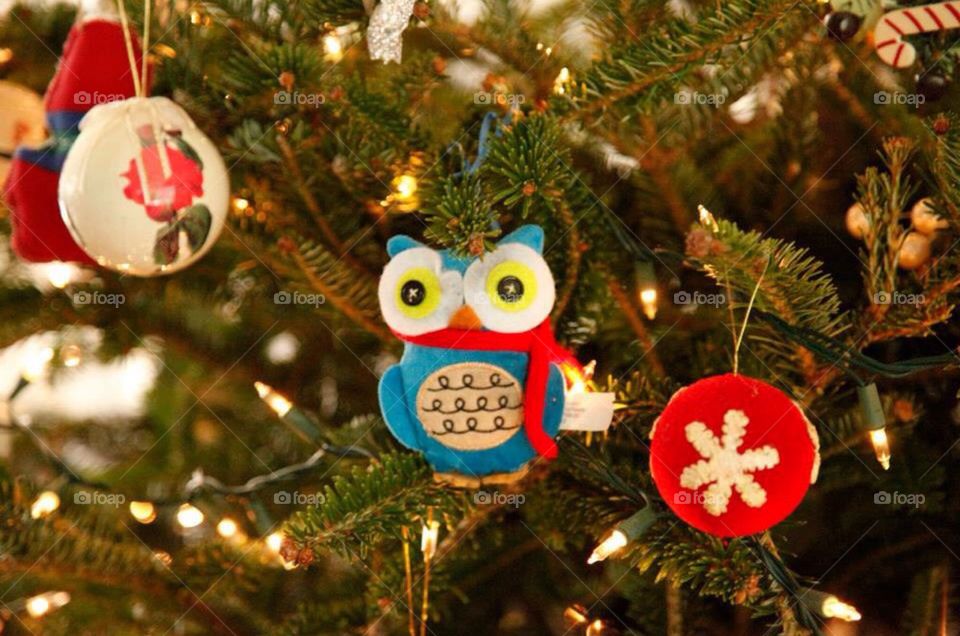 Christmas owl