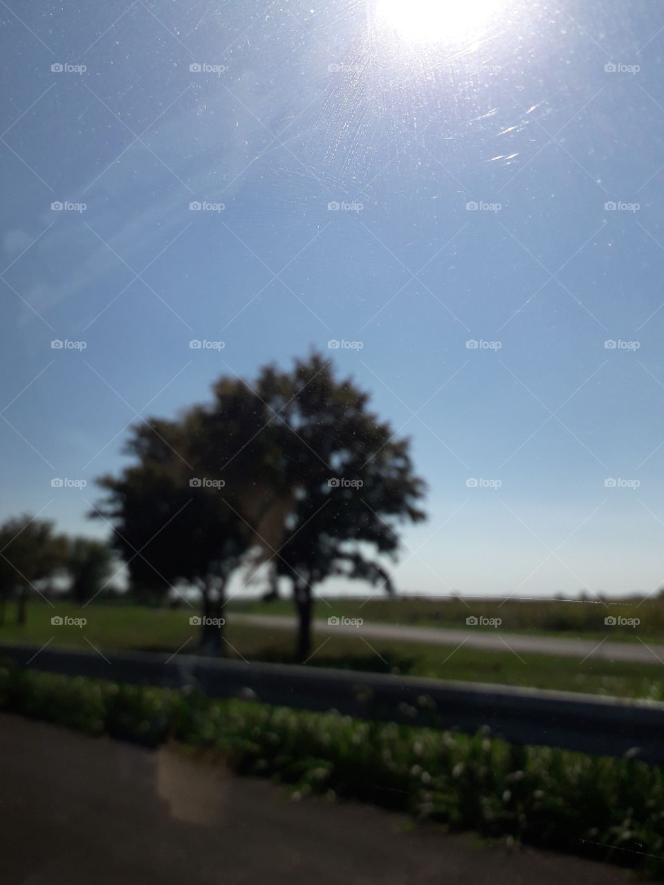 I made this photo accidentally while I was driving back to Novi Sad... I like this blue sky and the unblured sun🥰 This was a beautiful roadtrip💕