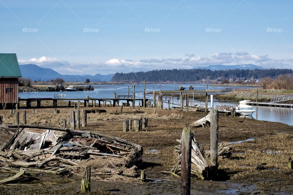 Pacific Northwest River 