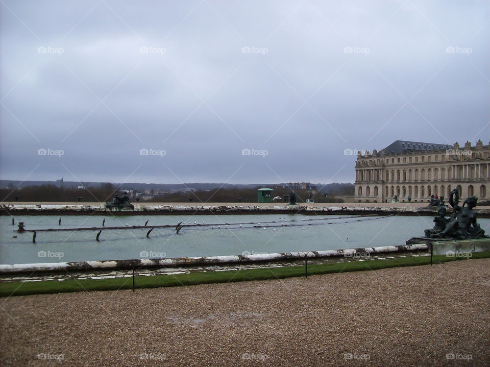 Foggy weather in a garden