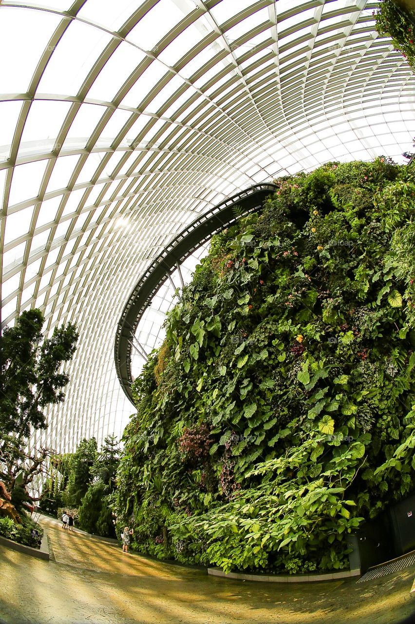 indoor garden. Cloud forest, Singapore