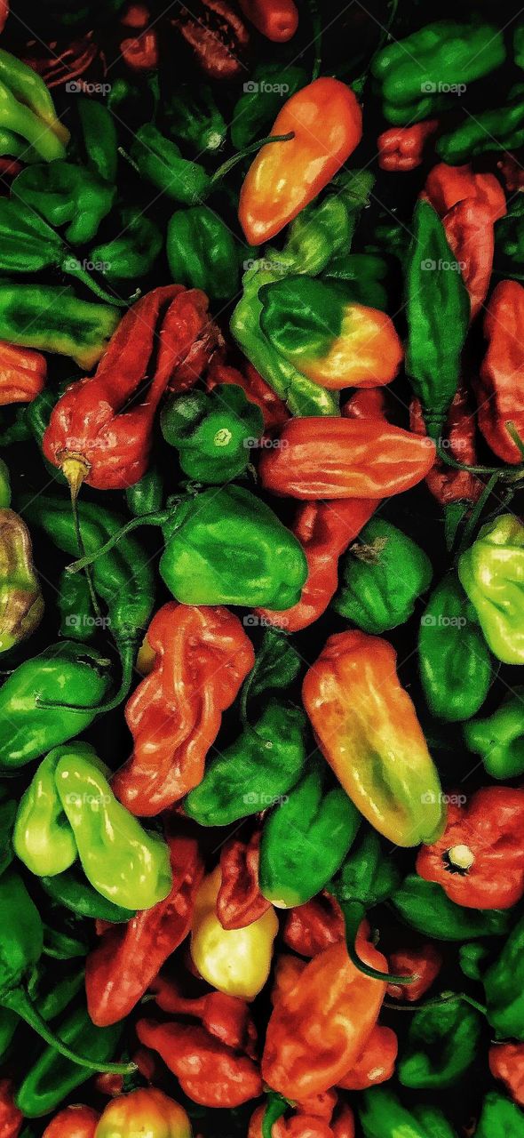 fruits and vegetables 1