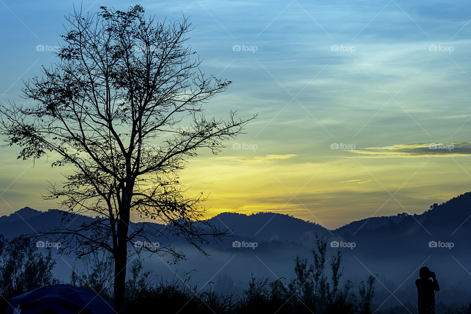 Tourists photograph the sunrise behind the mountains and the tree.