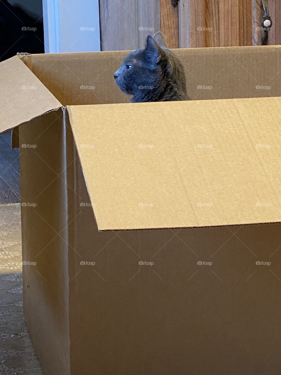 Thinking outside the box