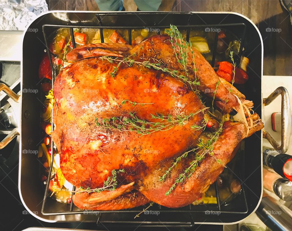 Thanksgiving Day turkey