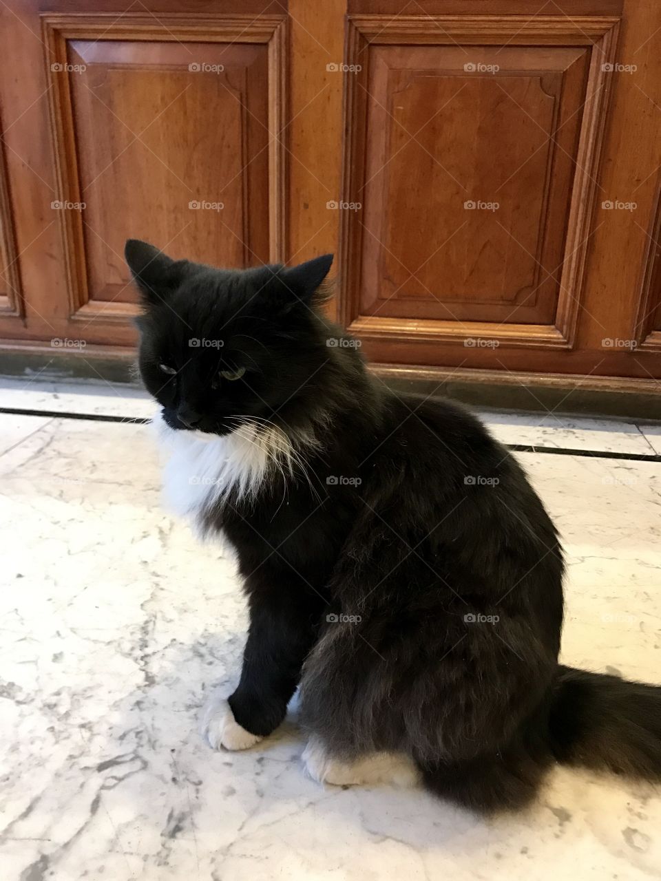 You're talking to me?