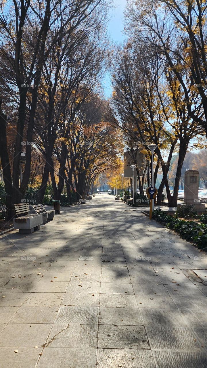 The last days of autumn