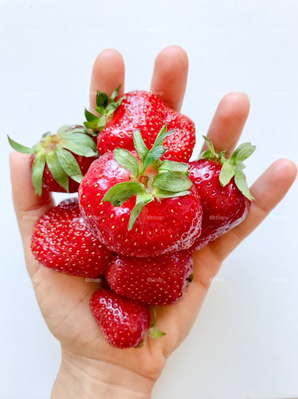 Sweet strawberry season. A hand full of strawberries