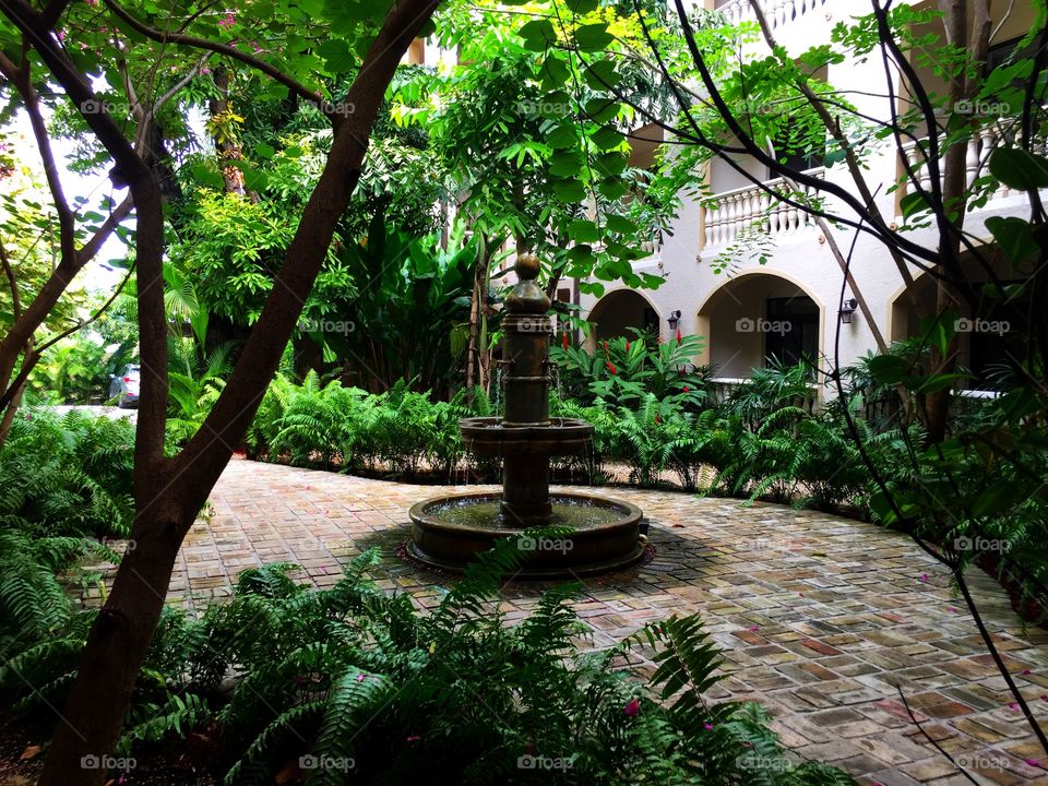 Beautiful green courtyard 