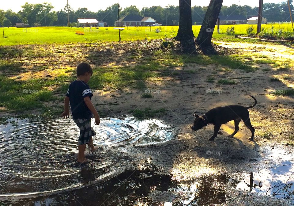 A boy and his dog 