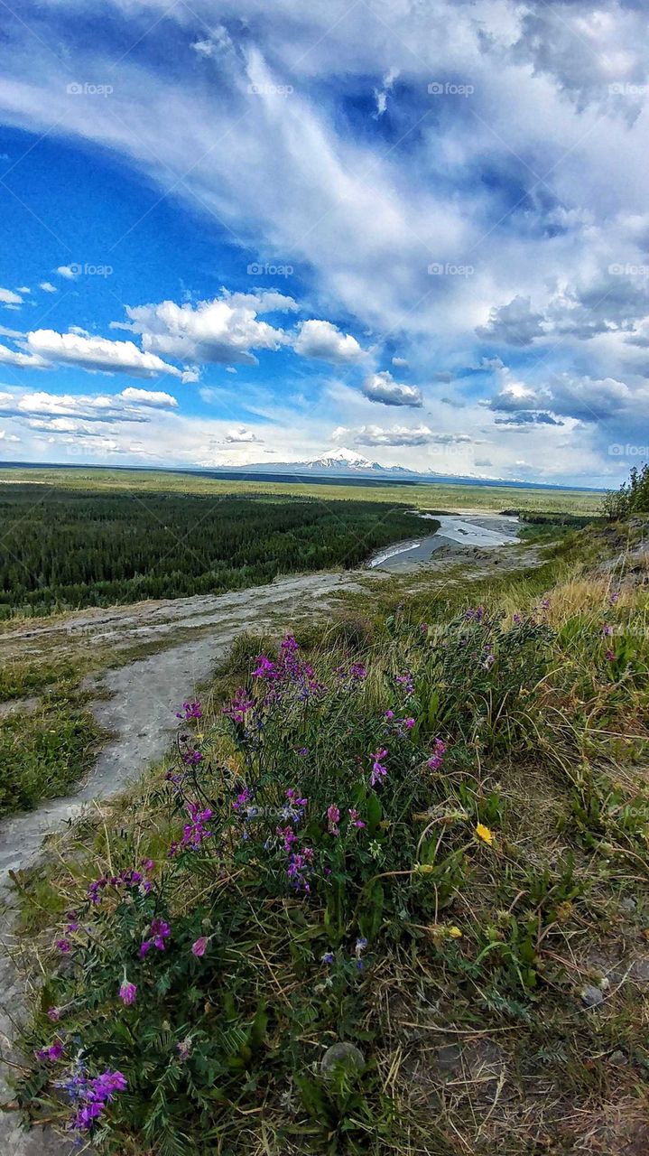 Stunning view of the Copper River flowing across the tundra from the Wrangell mountain range. Alaska in the summer.
