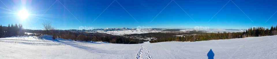 Landscape. Sunny winter day. Panorama.