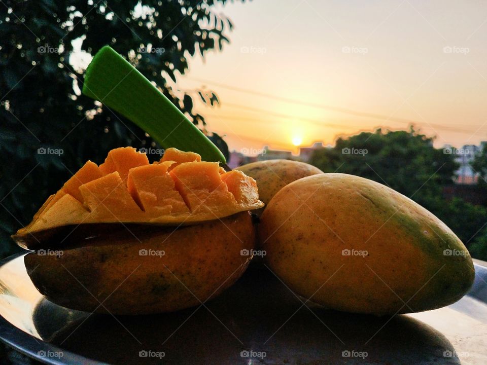 Funtime with king of fruits.🥭 Sweet mangoes and evening sun what else I want.📸