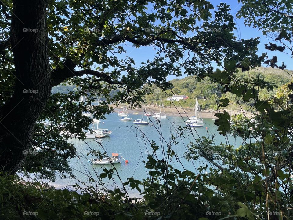 Glimpse of the boats in a beautiful day from the Coast path 