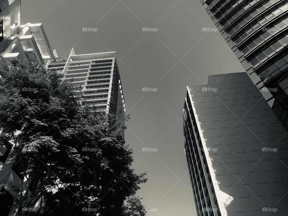 Buildings Brisbane City