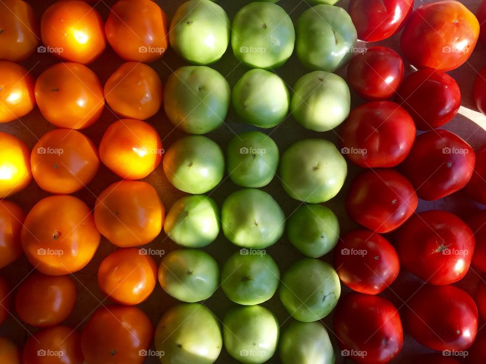 High angle view of vegetables