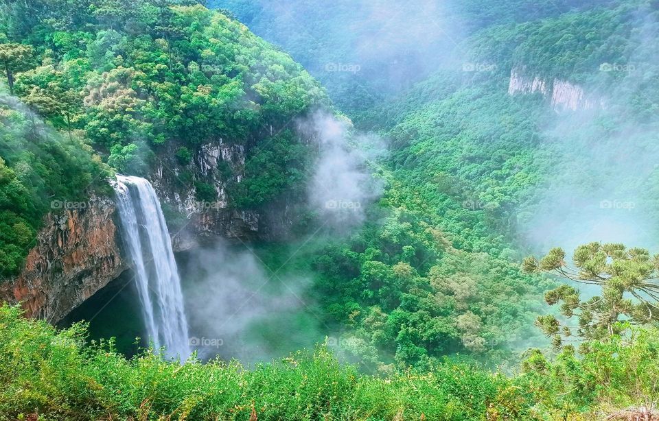 Nature in southern Brazil