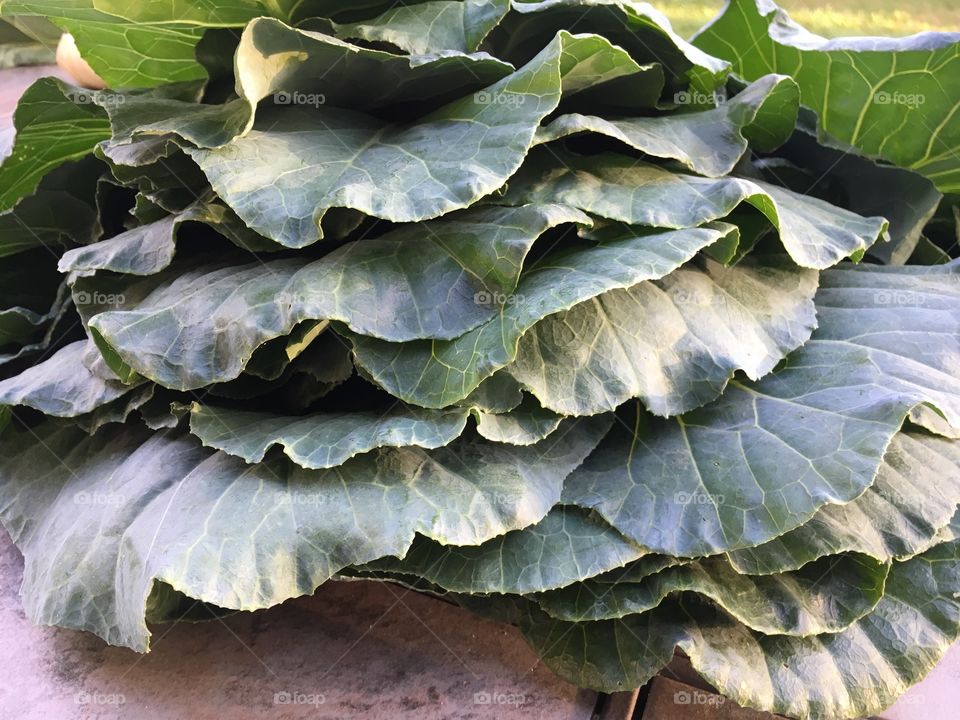 Collards
