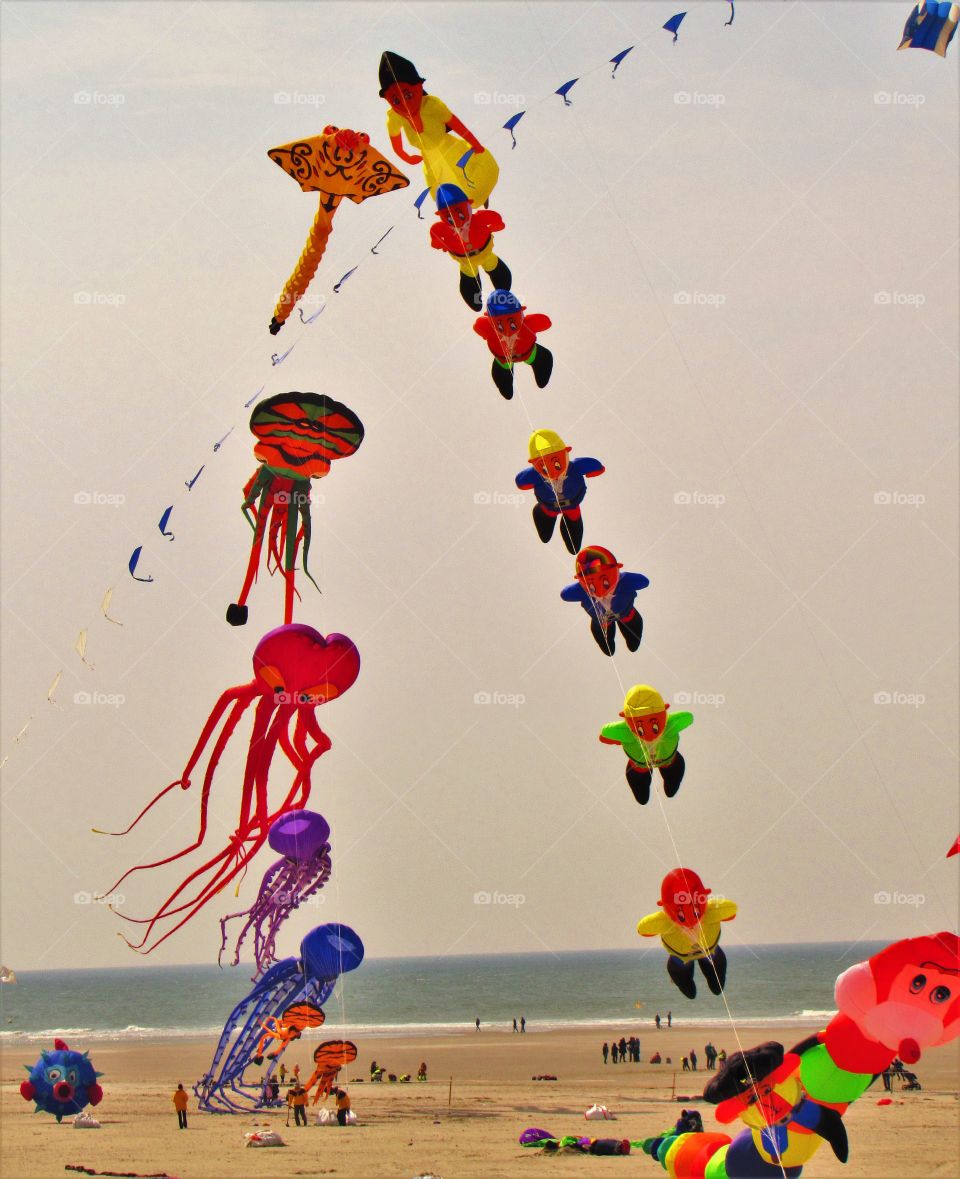 Berck kite competition