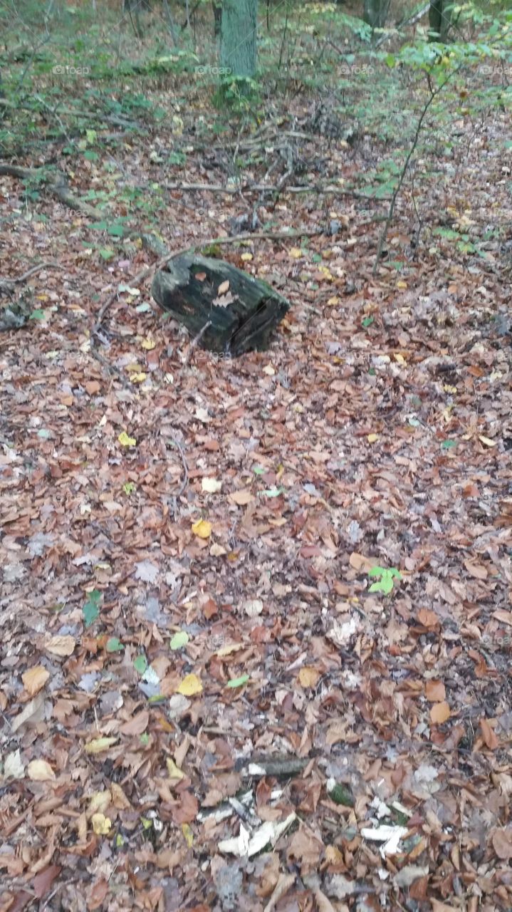 Nature, Garbage, Ground, Desktop, Waste