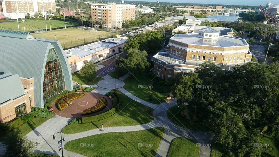 University of Tampa
Tampa, FL