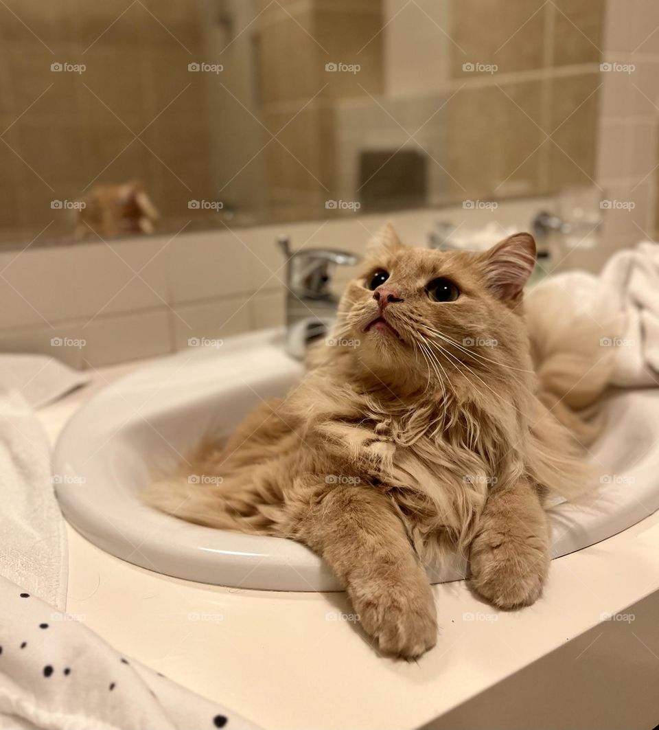 Taking a bath 