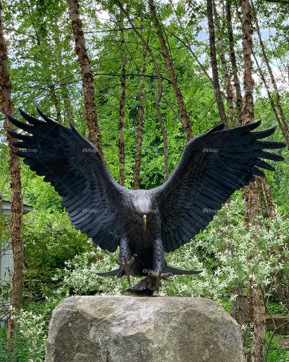 Eagle sculpture at Memorial Veteran, Lasdon Park, Ketonah