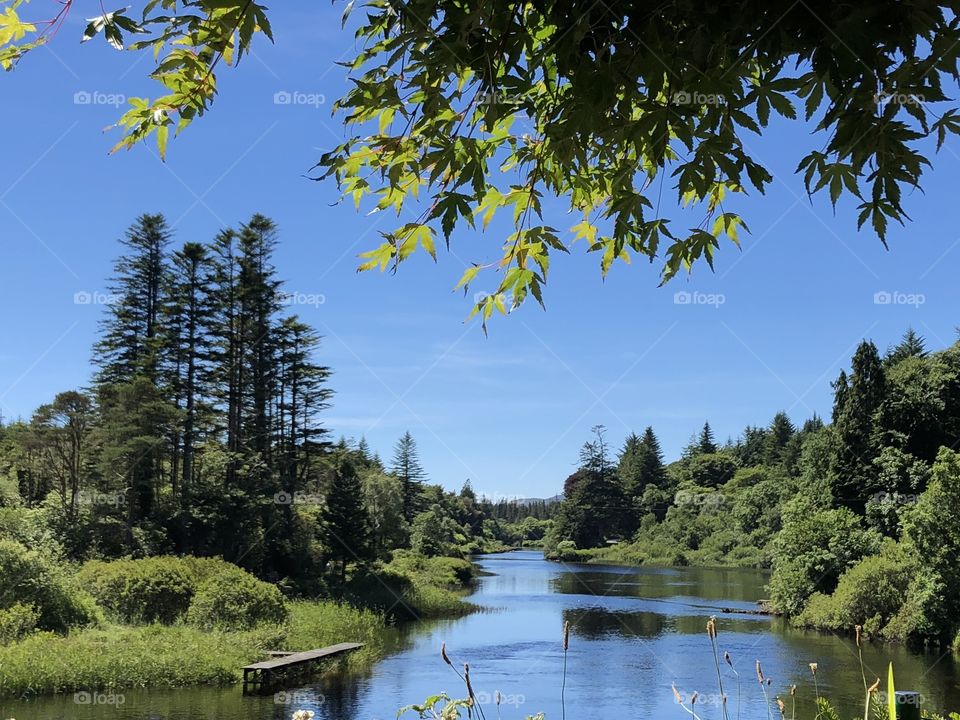 River scene Ireland