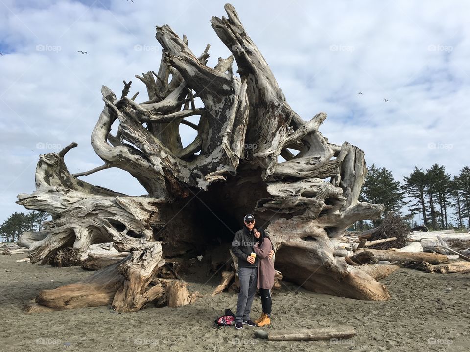 Photo op in front of a hollowed out tree on the beach. 